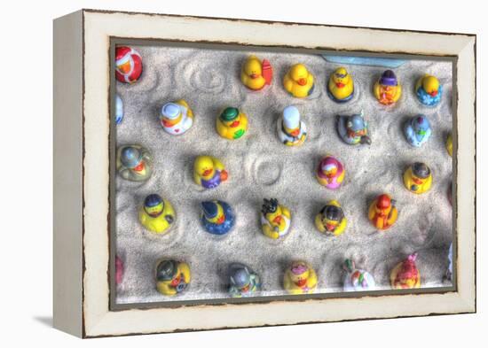 Rubber Duckies from Above-Robert Goldwitz-Framed Premier Image Canvas