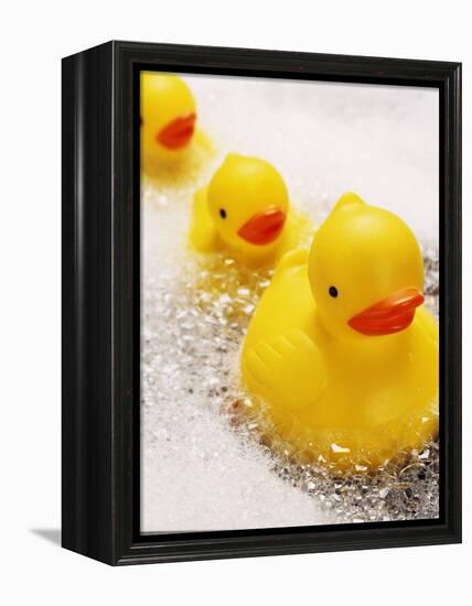 Rubber Ducks in Bath-John Miller-Framed Premier Image Canvas