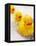 Rubber Ducks in Bath-John Miller-Framed Premier Image Canvas