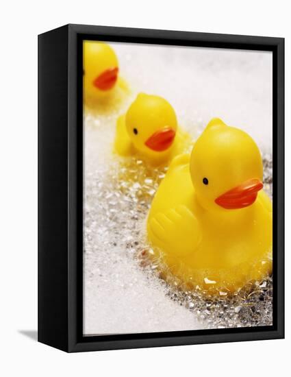 Rubber Ducks in Bath-John Miller-Framed Premier Image Canvas