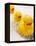 Rubber Ducks in Bath-John Miller-Framed Premier Image Canvas