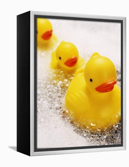 Rubber Ducks in Bath-John Miller-Framed Premier Image Canvas