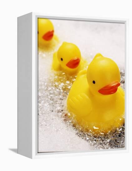 Rubber Ducks in Bath-John Miller-Framed Premier Image Canvas
