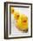 Rubber Ducks in Bath-John Miller-Framed Premium Photographic Print