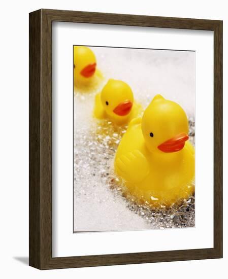 Rubber Ducks in Bath-John Miller-Framed Premium Photographic Print