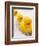 Rubber Ducks in Bath-John Miller-Framed Premium Photographic Print