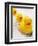 Rubber Ducks in Bath-John Miller-Framed Premium Photographic Print