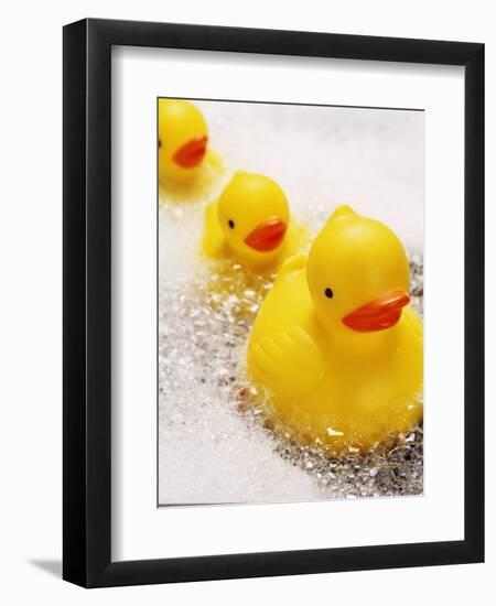 Rubber Ducks in Bath-John Miller-Framed Premium Photographic Print