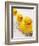 Rubber Ducks in Bath-John Miller-Framed Photographic Print