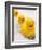 Rubber Ducks in Bath-John Miller-Framed Photographic Print