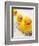 Rubber Ducks in Bath-John Miller-Framed Photographic Print