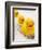 Rubber Ducks in Bath-John Miller-Framed Photographic Print