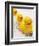 Rubber Ducks in Bath-John Miller-Framed Photographic Print