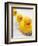 Rubber Ducks in Bath-John Miller-Framed Photographic Print