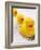 Rubber Ducks in Bath-John Miller-Framed Photographic Print