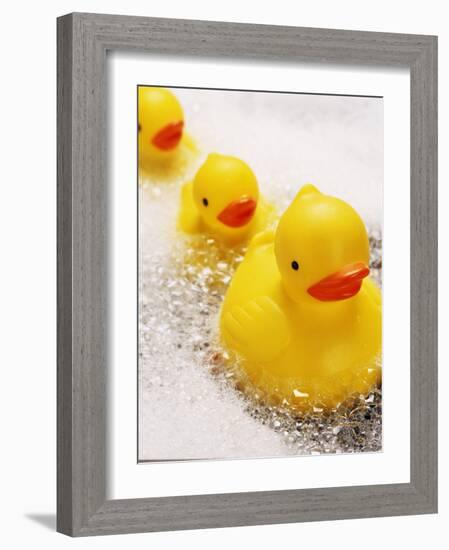 Rubber Ducks in Bath-John Miller-Framed Photographic Print