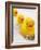 Rubber Ducks in Bath-John Miller-Framed Photographic Print