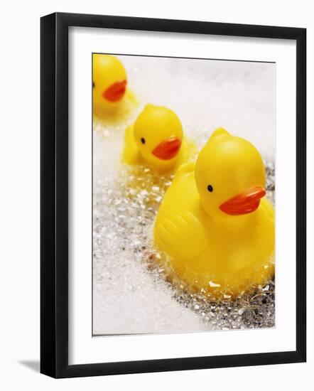 Rubber Ducks in Bath-John Miller-Framed Photographic Print