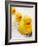 Rubber Ducks in Bath-John Miller-Framed Photographic Print