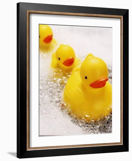 Rubber Ducks in Bath-John Miller-Framed Photographic Print