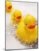 Rubber Ducks in Bath-John Miller-Mounted Photographic Print