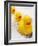 Rubber Ducks in Bath-John Miller-Framed Photographic Print