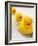 Rubber Ducks in Bath-John Miller-Framed Photographic Print