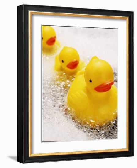 Rubber Ducks in Bath-John Miller-Framed Photographic Print