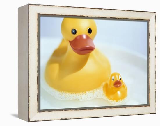 Rubber Ducks-Lawrence Lawry-Framed Premier Image Canvas