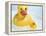 Rubber Ducks-Lawrence Lawry-Framed Premier Image Canvas