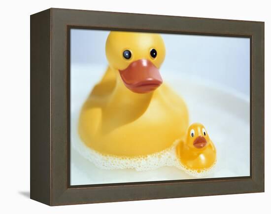 Rubber Ducks-Lawrence Lawry-Framed Premier Image Canvas