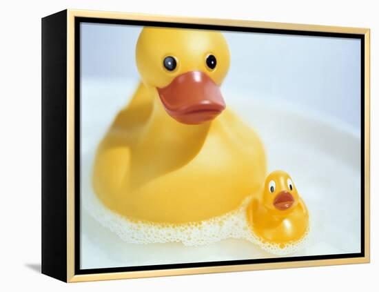 Rubber Ducks-Lawrence Lawry-Framed Premier Image Canvas