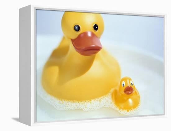 Rubber Ducks-Lawrence Lawry-Framed Premier Image Canvas