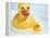 Rubber Ducks-Lawrence Lawry-Framed Premier Image Canvas