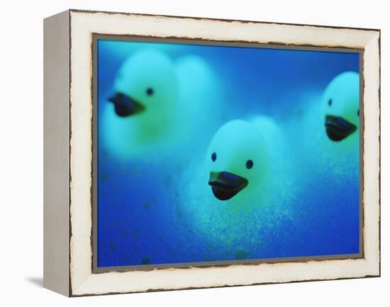 Rubber Ducks-Lawrence Lawry-Framed Premier Image Canvas