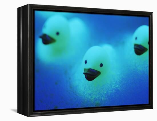 Rubber Ducks-Lawrence Lawry-Framed Premier Image Canvas