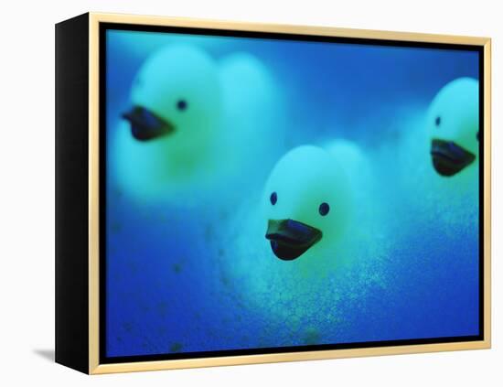 Rubber Ducks-Lawrence Lawry-Framed Premier Image Canvas