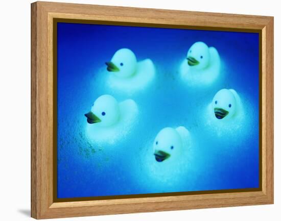 Rubber Ducks-Lawrence Lawry-Framed Premier Image Canvas