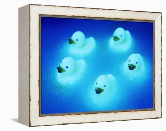 Rubber Ducks-Lawrence Lawry-Framed Premier Image Canvas