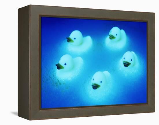 Rubber Ducks-Lawrence Lawry-Framed Premier Image Canvas