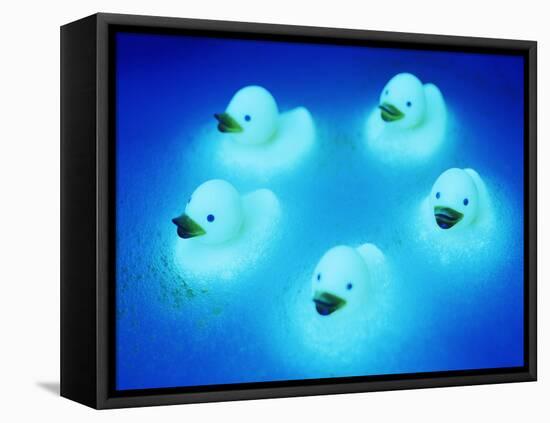 Rubber Ducks-Lawrence Lawry-Framed Premier Image Canvas