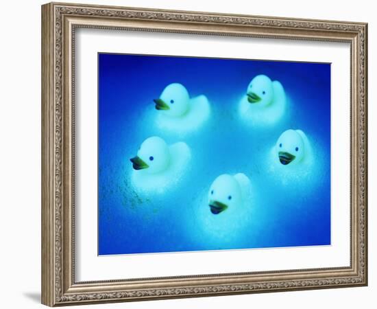 Rubber Ducks-Lawrence Lawry-Framed Photographic Print