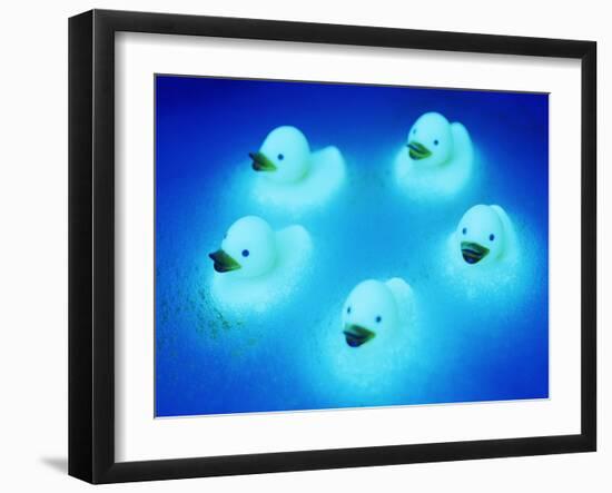 Rubber Ducks-Lawrence Lawry-Framed Photographic Print