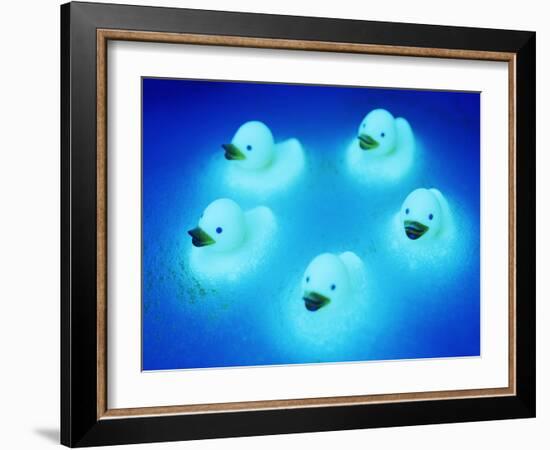 Rubber Ducks-Lawrence Lawry-Framed Photographic Print