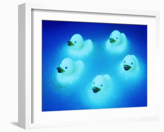 Rubber Ducks-Lawrence Lawry-Framed Photographic Print