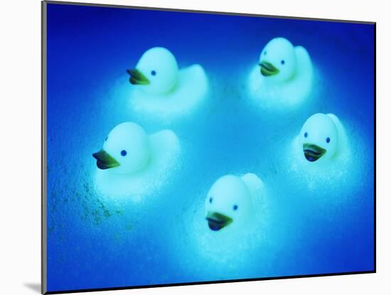 Rubber Ducks-Lawrence Lawry-Mounted Photographic Print