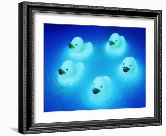 Rubber Ducks-Lawrence Lawry-Framed Photographic Print