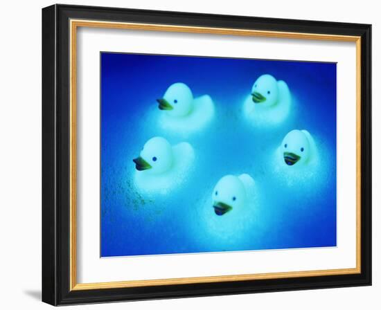 Rubber Ducks-Lawrence Lawry-Framed Photographic Print