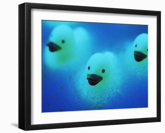 Rubber Ducks-Lawrence Lawry-Framed Photographic Print