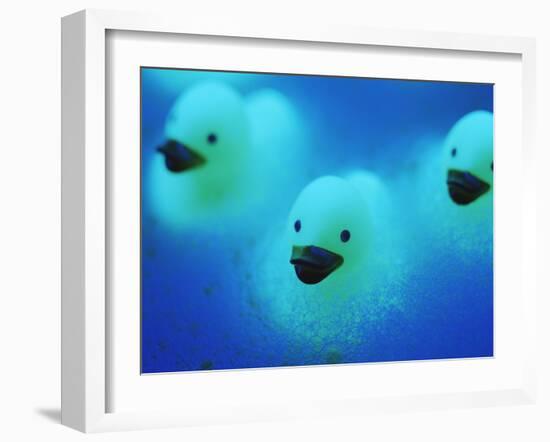 Rubber Ducks-Lawrence Lawry-Framed Photographic Print